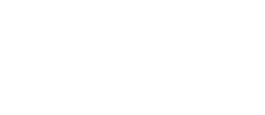 Partner Logo - LucidReelsMedia